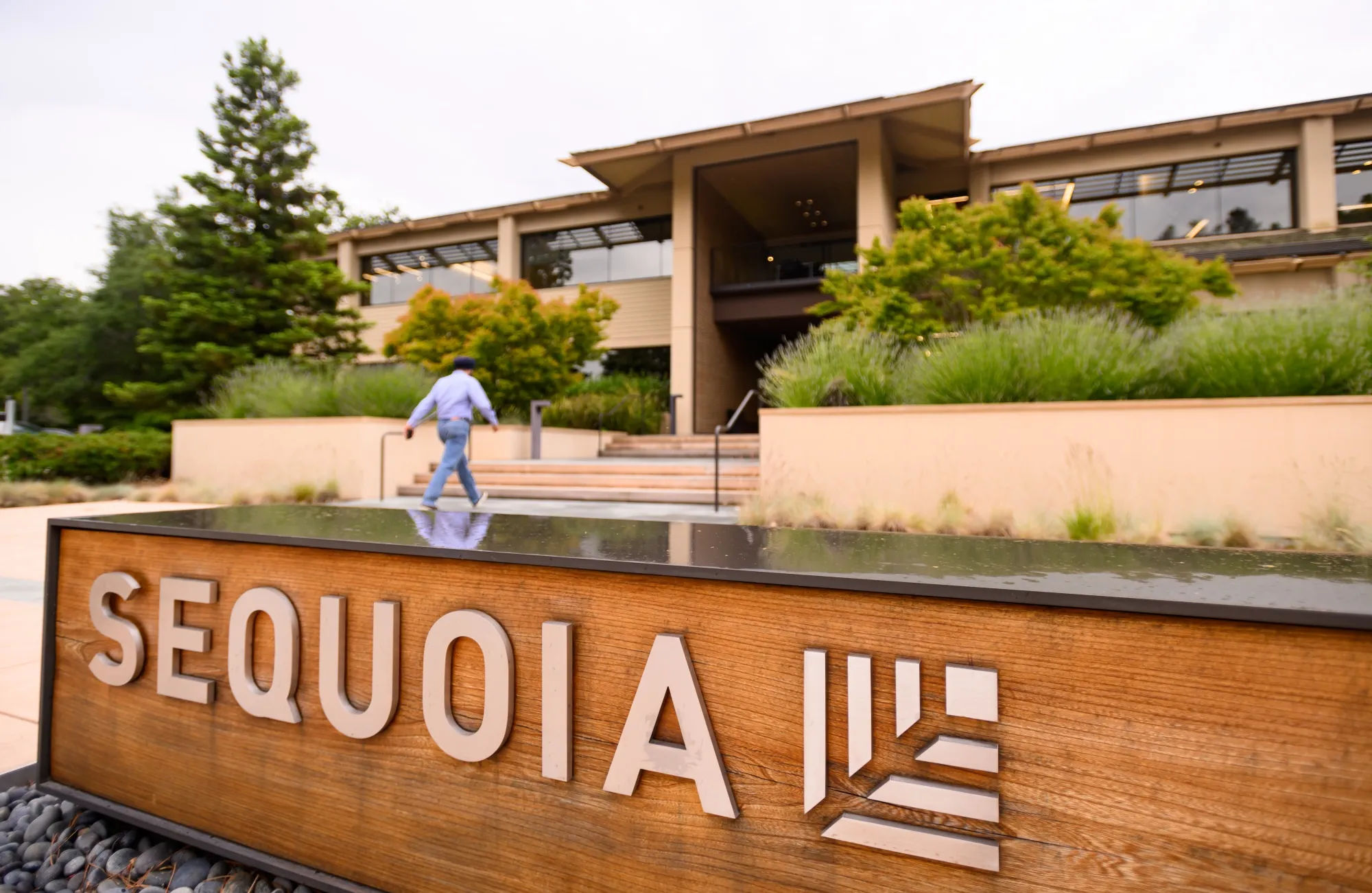 Top Sequoia-backed companies hiring now